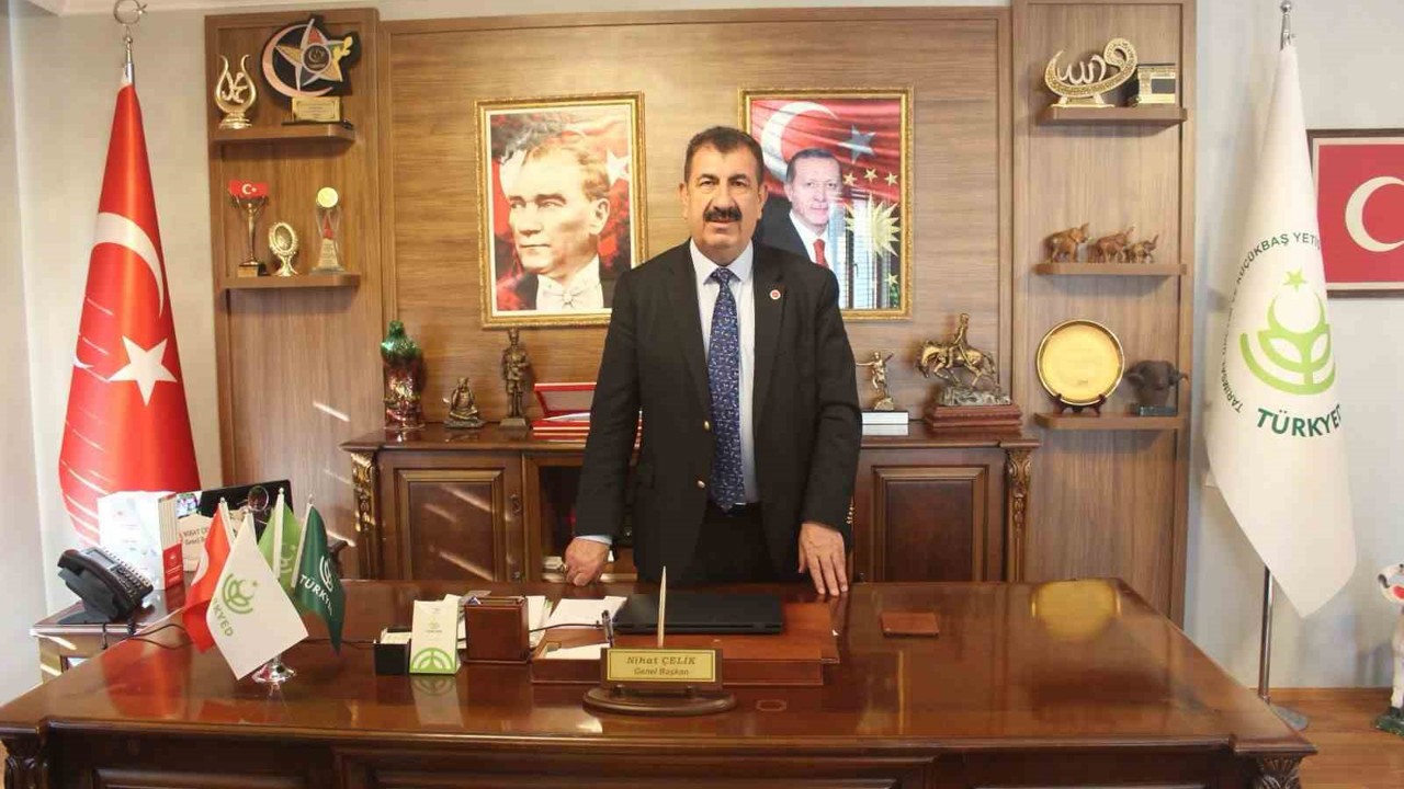 TÜRKYED Genel Başkanı Çelik: "Hayvan refahı artık yalnızca vicdani bir başlık değildir"
