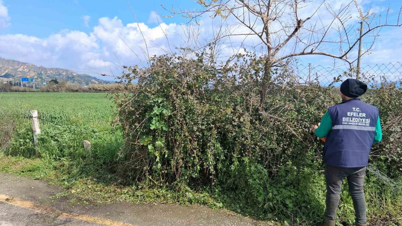 Efeler’in yeşil alanlarında temizlik çalışması sürüyor
