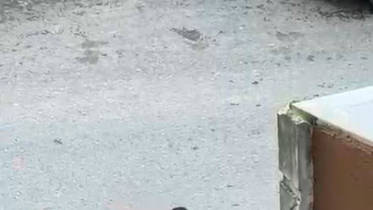 Boşanma aşamasında olduğu eşinin sevgilisine sokakta bıçakla saldırdı
