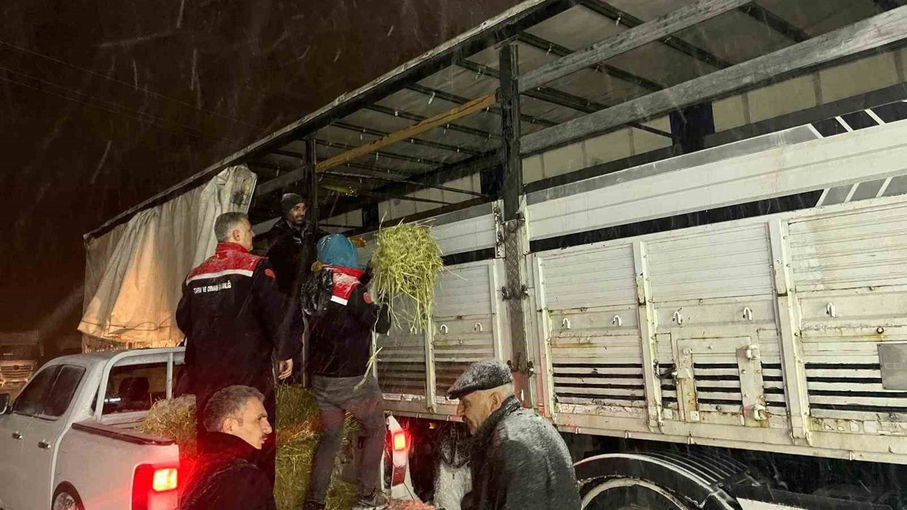 Hayvanlar aç kalmasın diye imdada yetiştiler
