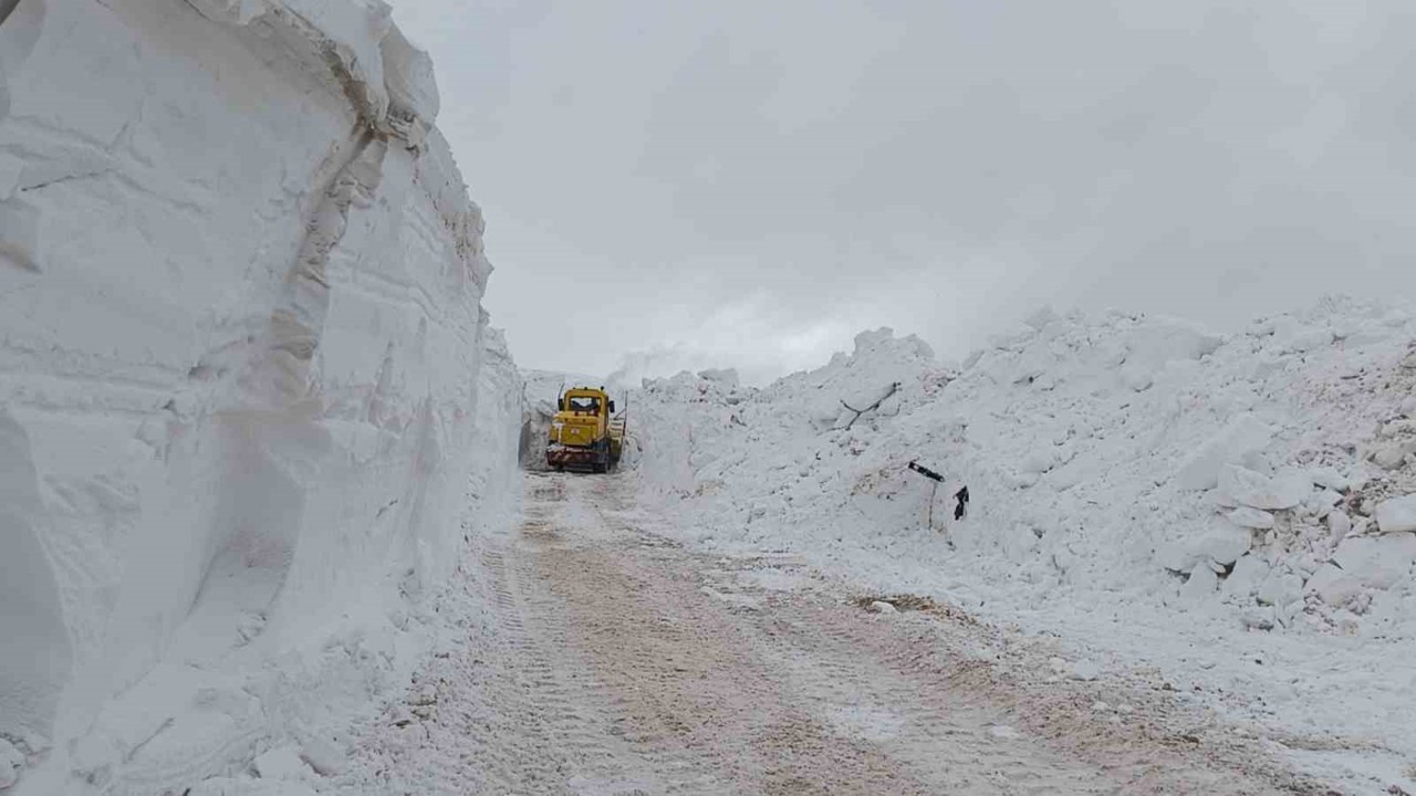 Türkiye-İran sınır hattında karla mücadele çalışması
