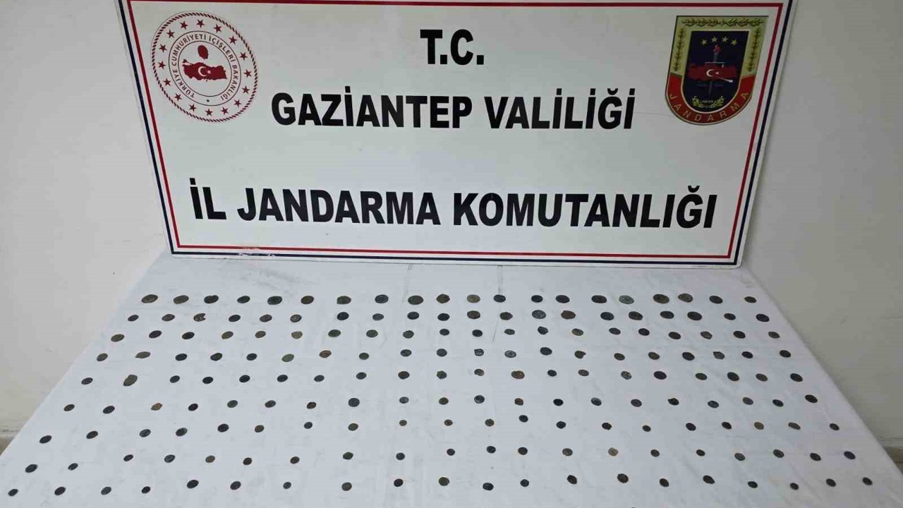 Gaziantep’te 195 adet sikke ele geçirildi: 1 gözaltı
