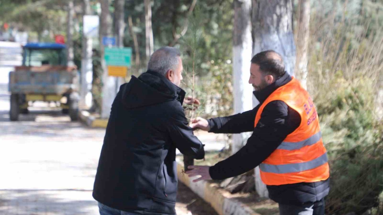 Elazığ Belediyesi’nden vatandaşlara ücretsiz fidan desteği
