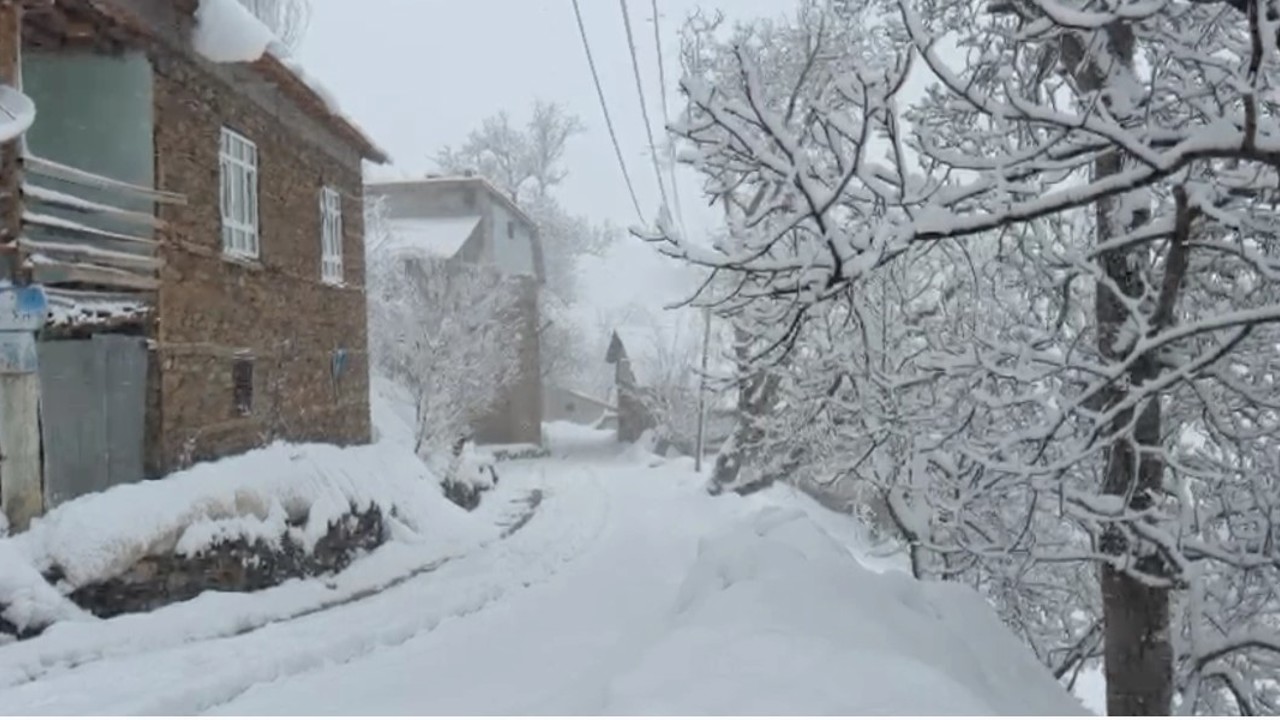 Bahçesaraylılar açtıkları kar tünelleriyle günlük hayatlarını sürdürüyor
