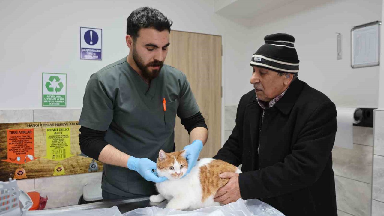 Cumhuriyet tarihinin ilk fakültesine ait hastanede, bir yılda 9 bin 600 hayvan şifa buldu
