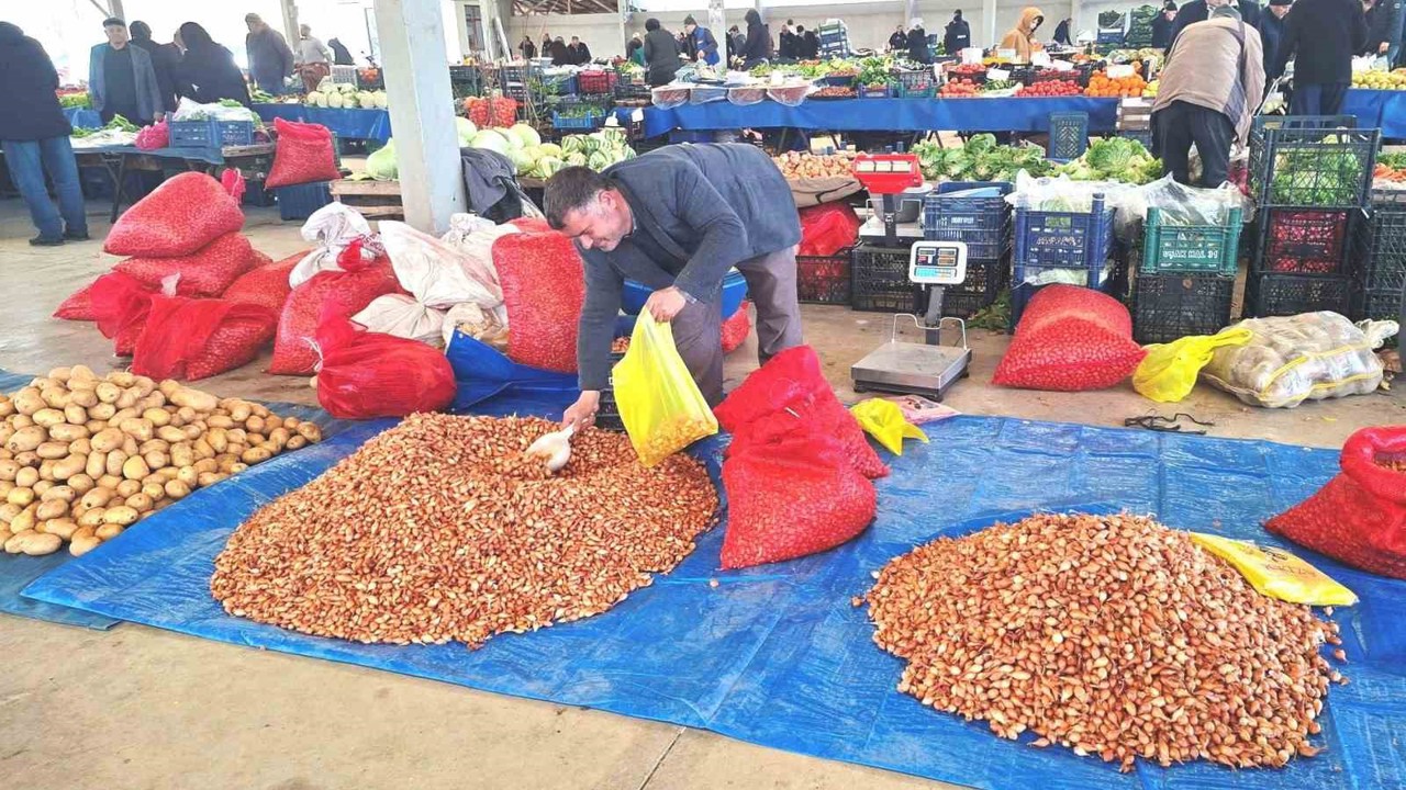 Tohumluk kuru soğanda üretim arttı, fiyat 150 liradan 100 liraya düştü
