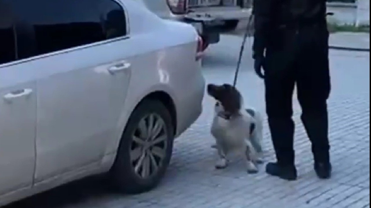 Denizli’de narkotik operasyonunda 6 kilo esrar ele geçirildi
