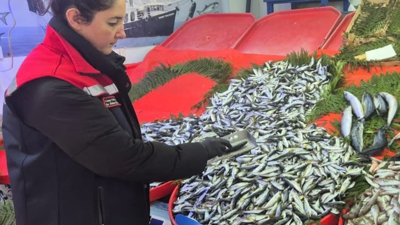 Tekirdağ’da su ürünlerine sıkı denetim

