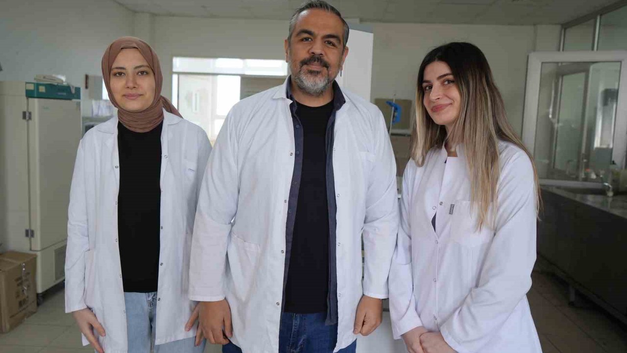 OMÜ projesiyle gıda endüstrisine pH duyarlı doğal renklendirici adayı
