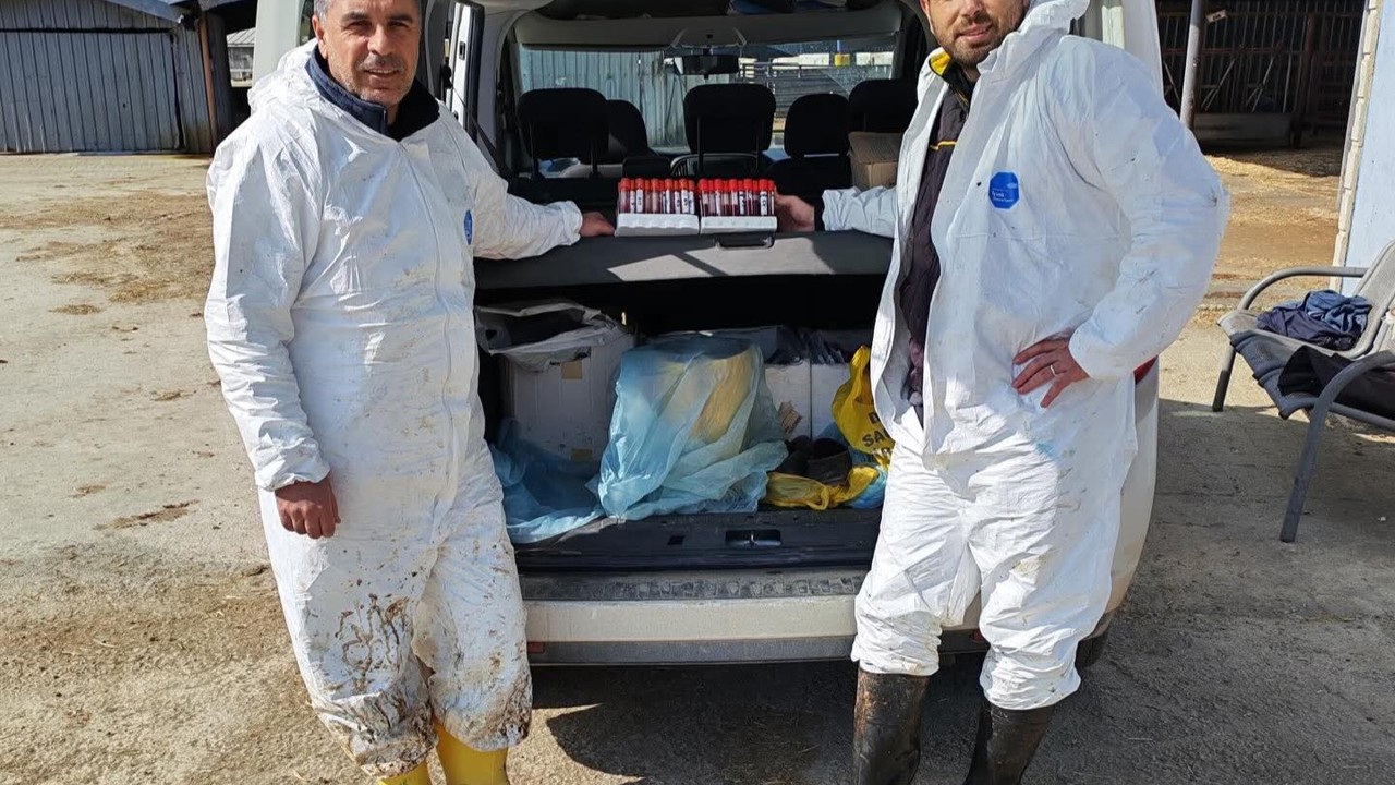 Ari işletmede tüberküloz ve brusella testi yapıldı

