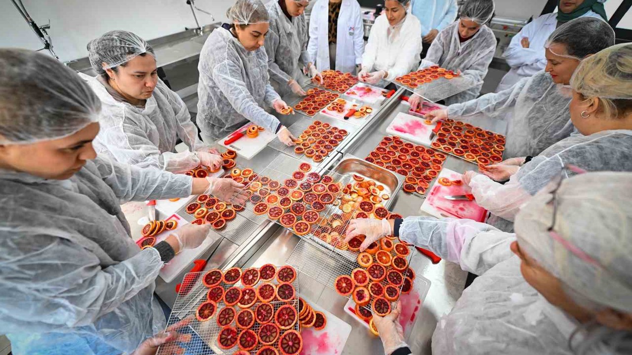 Mersin’de kan portakalı kadınların elinde değer kazanıyor
