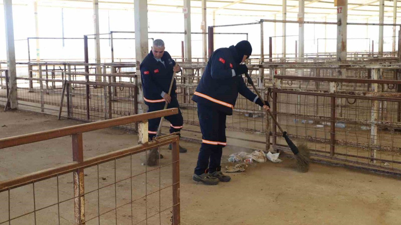Nazilli Hayvan Pazarı 7 ay sonra yeniden açılıyor
