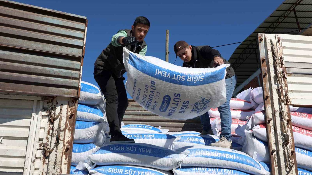 Aydın Büyükşehir’in yem desteği devam ediyor
