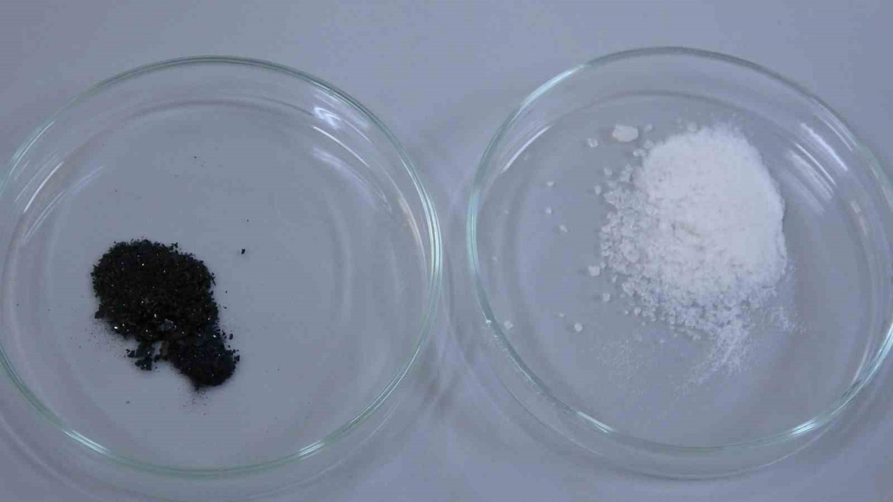 Isparta’da endemik bitkiden doğaya zarar vermeden kanserle mücadeleye umut olacak üretim modeli geliştiriliyor
