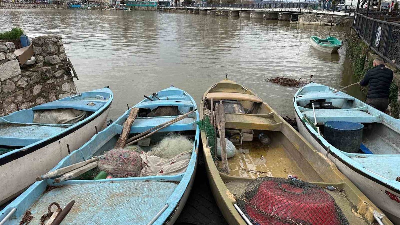 İstilacı İsrail sazanları balıkçılara gelir kaynağı oldu
