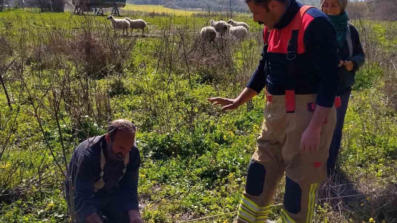 Defne’de kuyuya düşen kuzuyu itfaiye kurtardı
