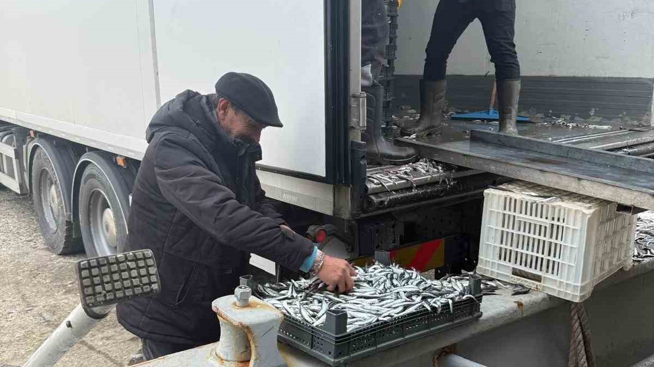 Balıkçı Ramazan’da ücretsiz hamsi dağıttı
