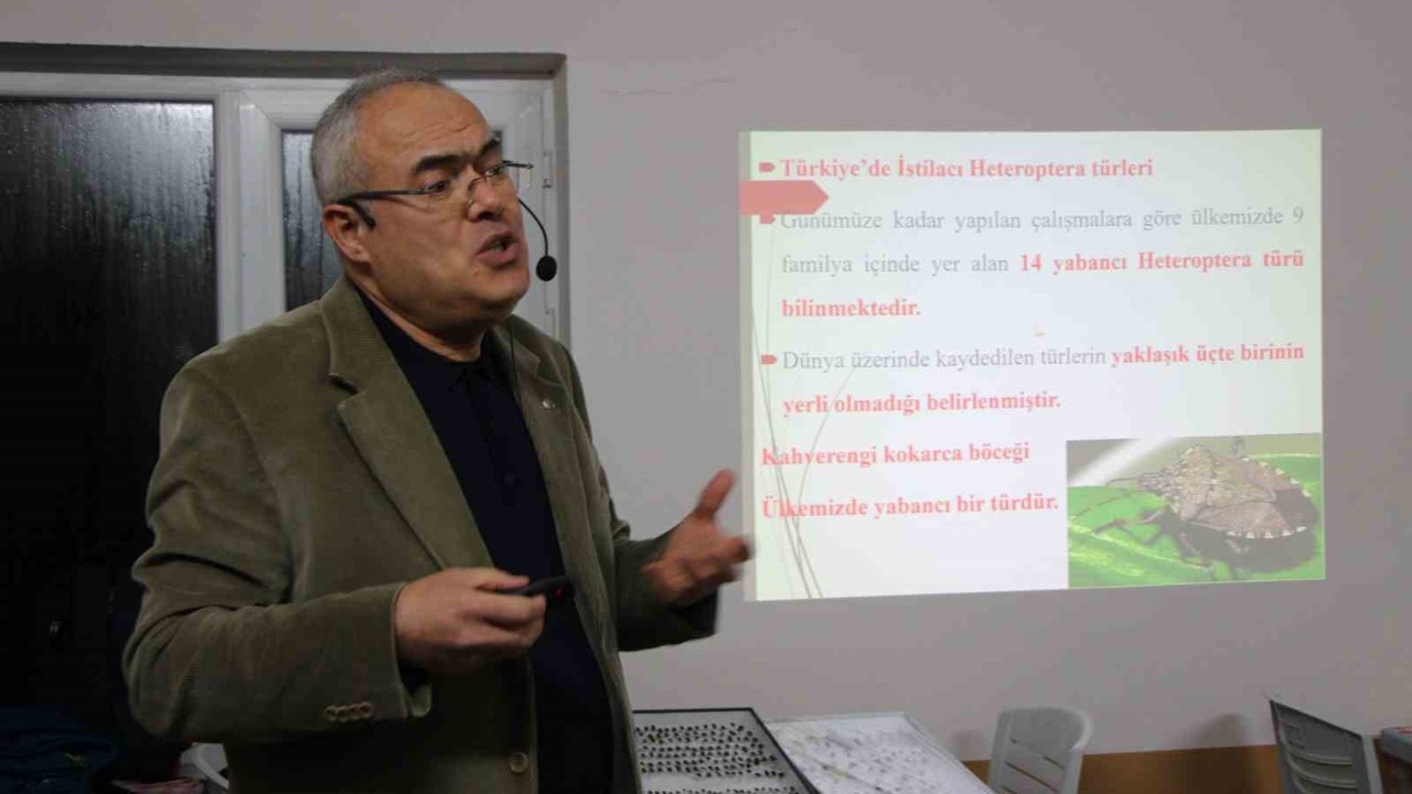 Uzmanı kahverengi kokarca için tarih verdi: "2030 yılından itibaren gündemden çıkmaya başlayacak"
