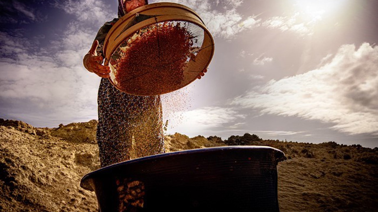 Salihli’de "Hayatın İçinden Kadın Fotoğrafları" sanal sergisi açıldı
