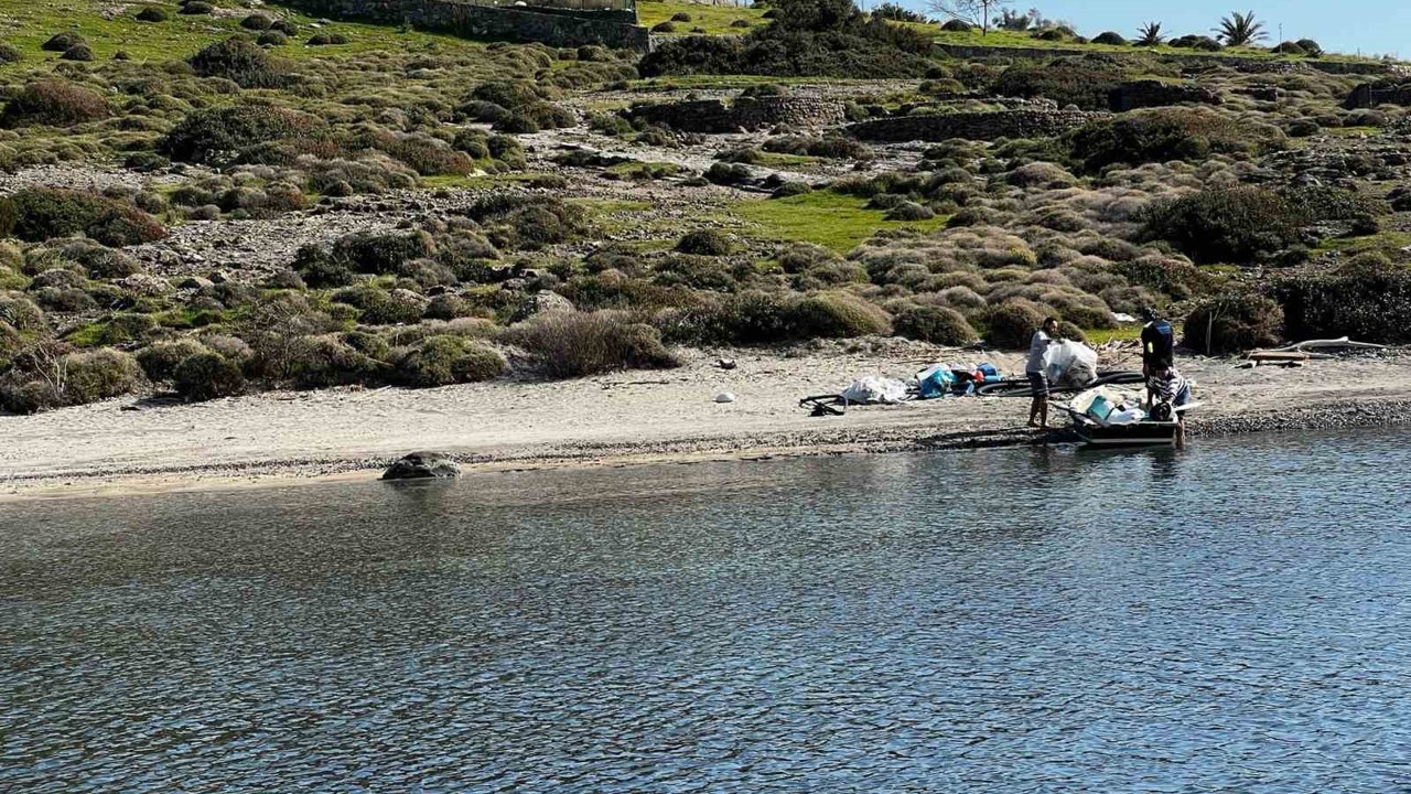 Tilkişen otu toplamaya gittiler, koyu temizlediler

