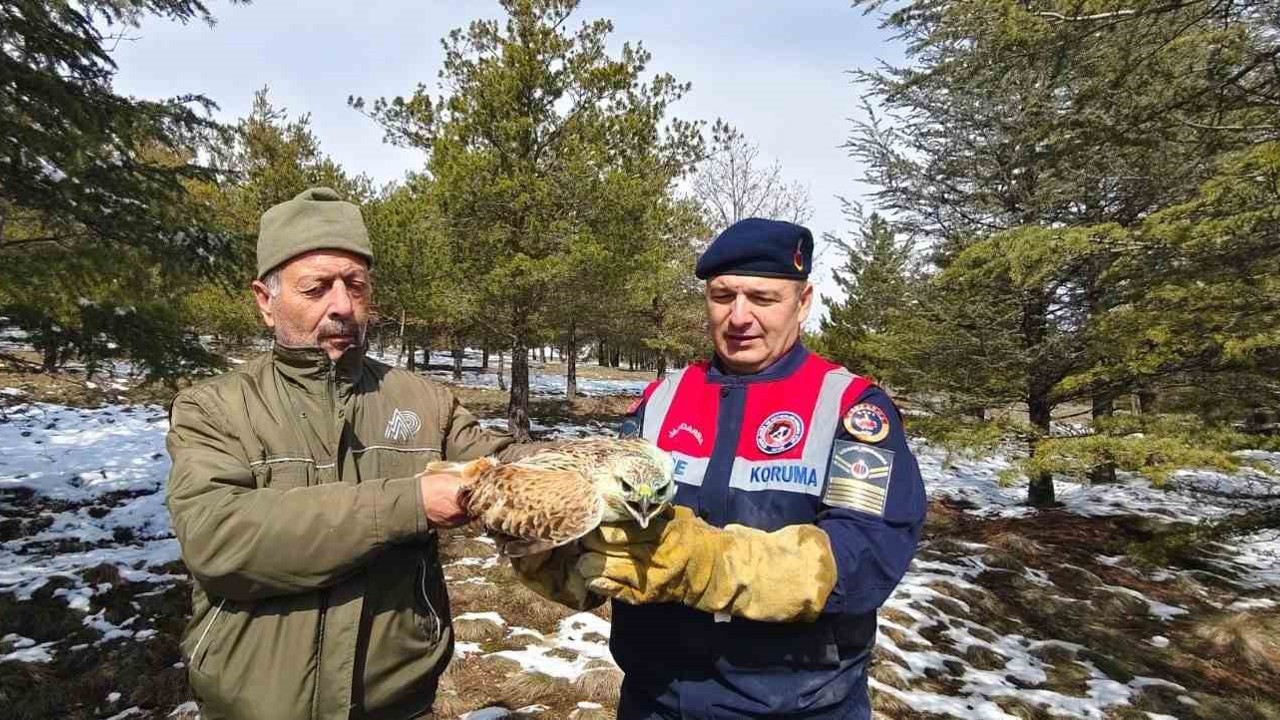 Yaralı Şahin’e Jandarma ekiplerinden yardım eli
