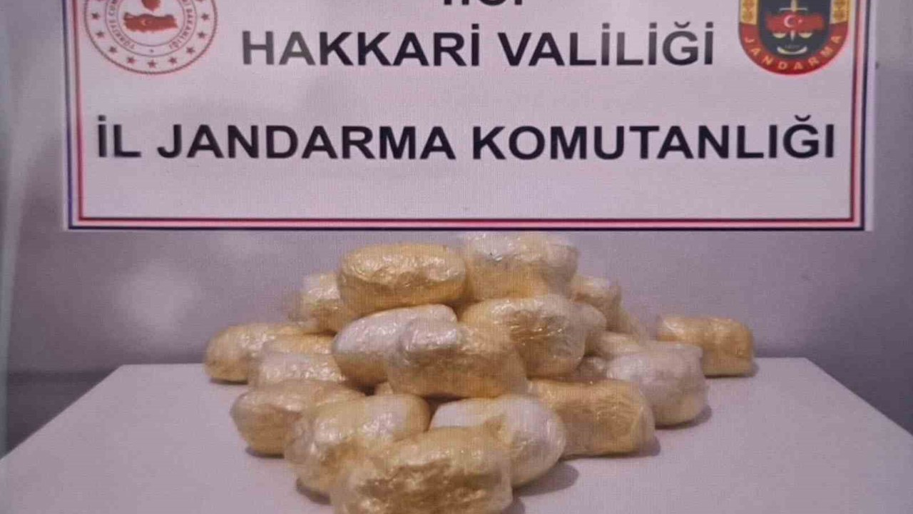 Hakkari’de tırda 15 kilo 263 gram metamfetamin ele geçirildi
