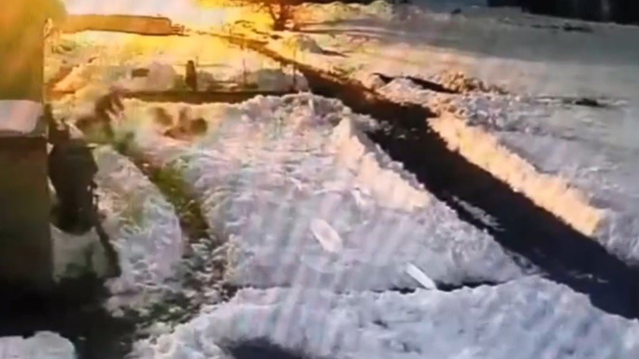 Kars’ta kurt sürüsünü kürekle kovalayan vatandaş kamerada
