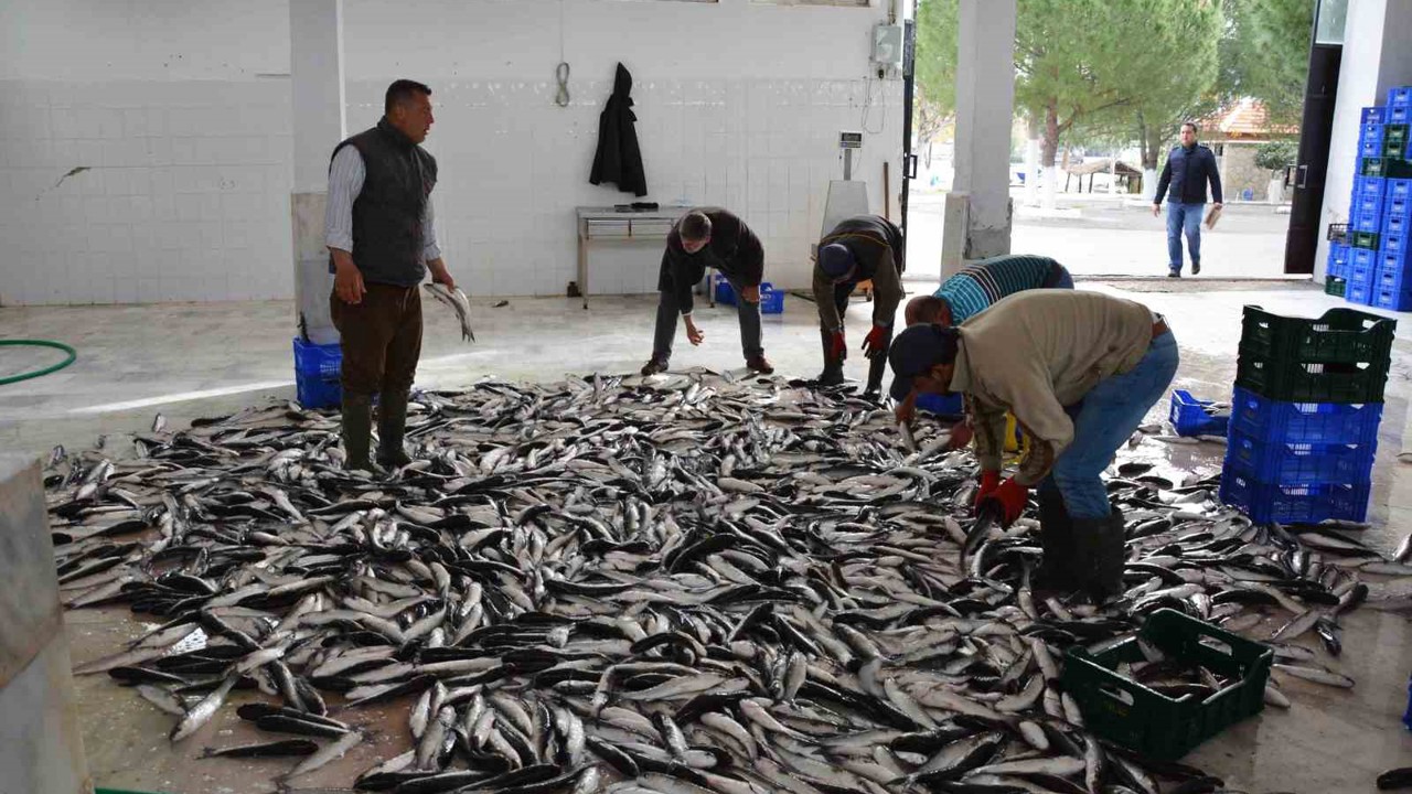 Muğla Şubat ayında 102 milyon dolar ihracat gerçekleştirdi

