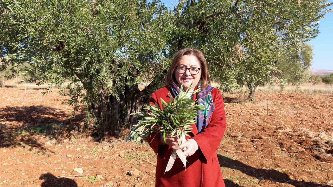 Gaziantep Büyükşehir’den Nizip’e örnek tarımsal destekler
