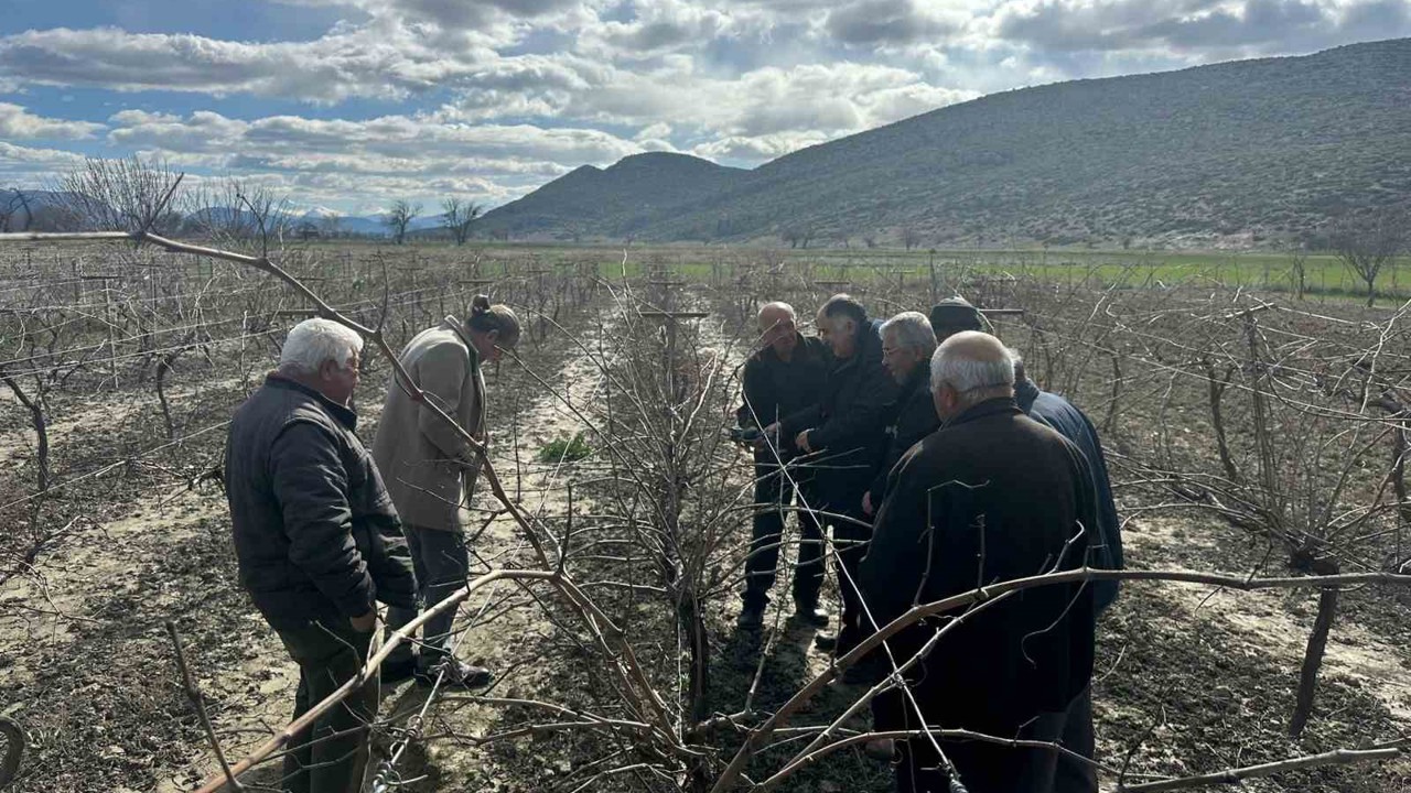 Korkuteli’nde çiftçilere budama eğitimi
