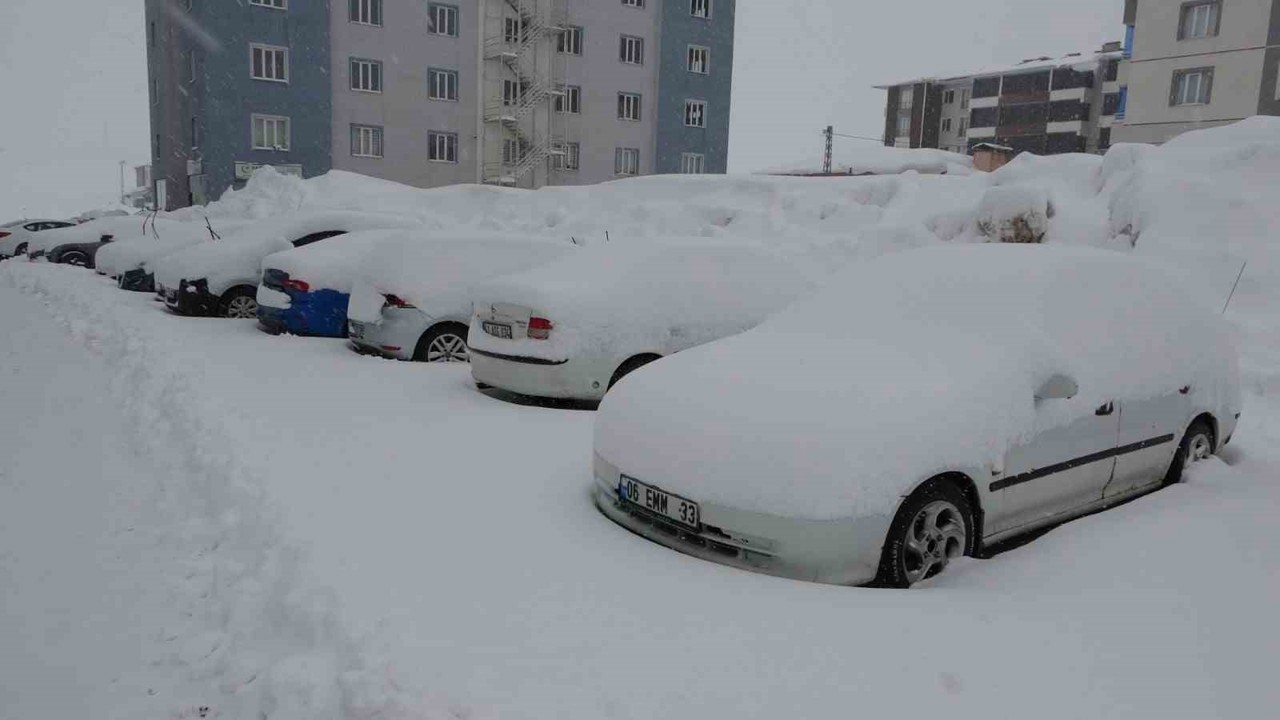 Bitlis’te mart karı 288 köy yolu ulaşıma kapattı

