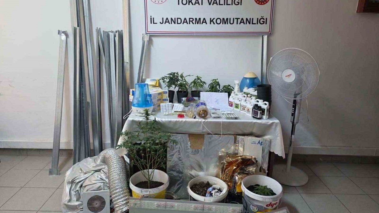 Bilgi notuyla apartman dairesinde uyuşturucu serası kurdular, jandarmadan kaçamadılar
