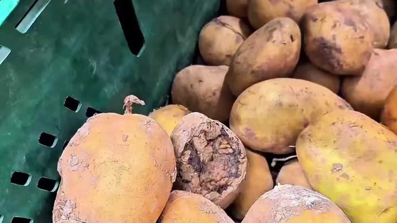 Market raflarında tarihi geçmiş tavuk ve içecek alarmı
