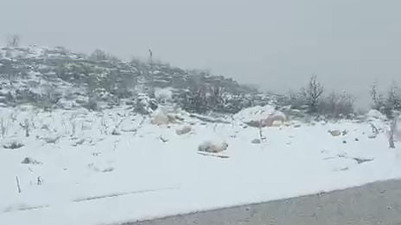 Diyarbakır’ın iki ilçesinde kar yağışı
