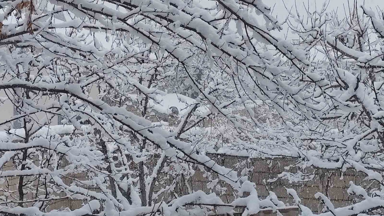 Erciş’te mart ayında kar yağışı

