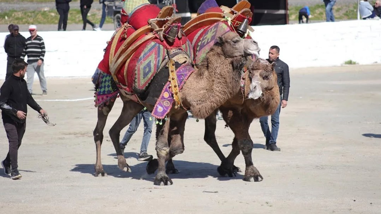 Başkan Kaya: "Bu yıl sezonun ilk güreşlerini yapmak bizlere nasip oldu"
