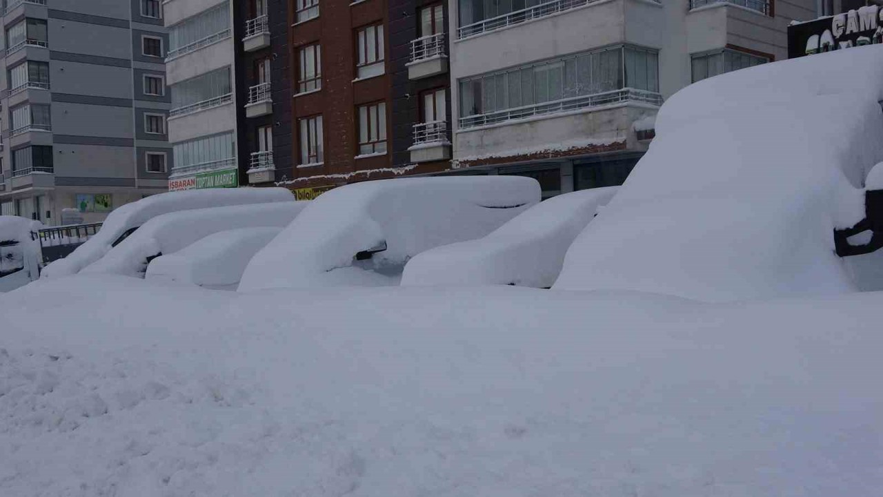 Bitlis mart ayında kara gömüldü
