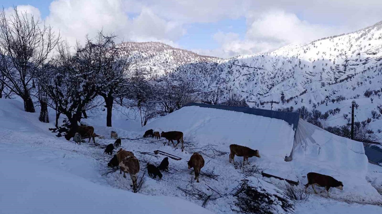 Batman’da mart ayında kar yağışı etkili oldu
