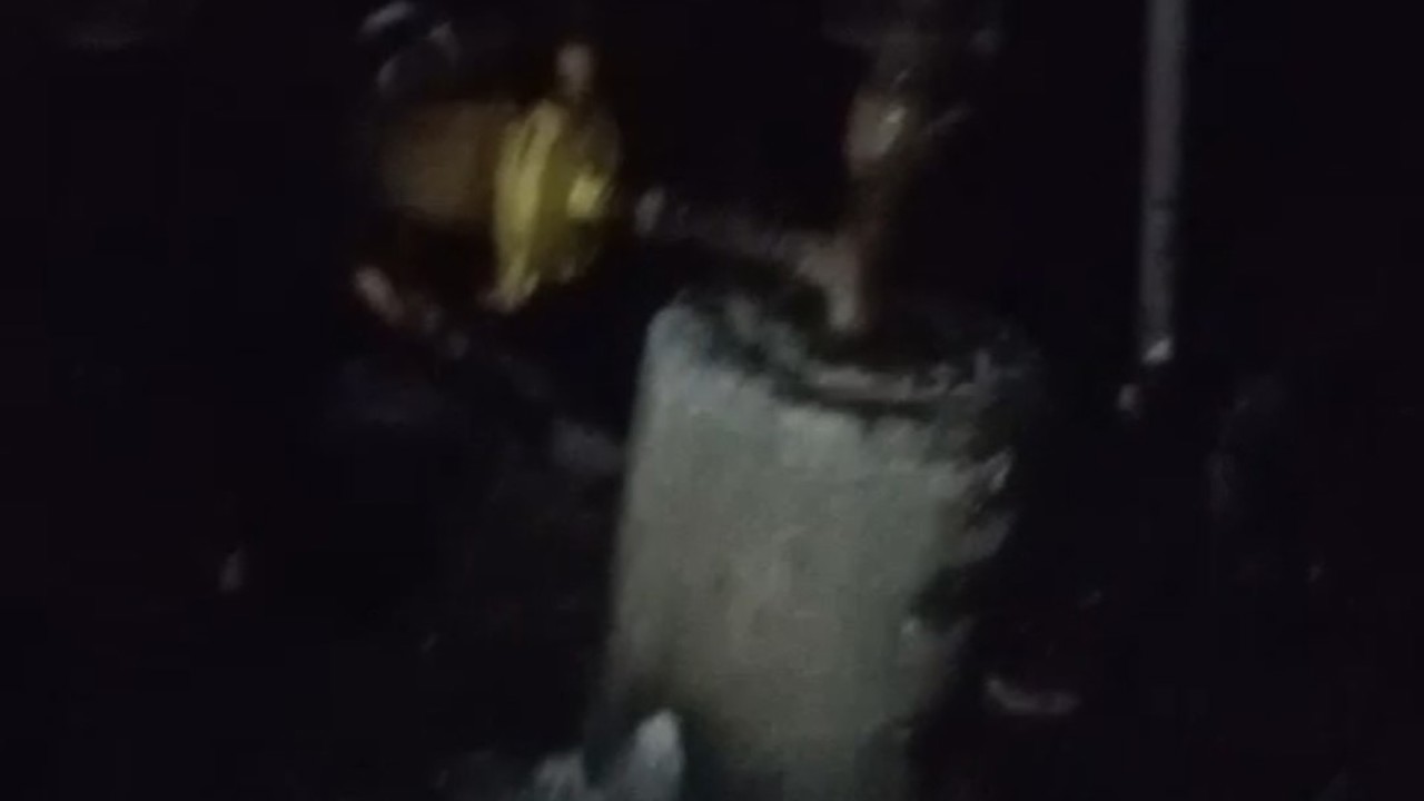 Adana’da 40 güvercin yangında telef oldu
