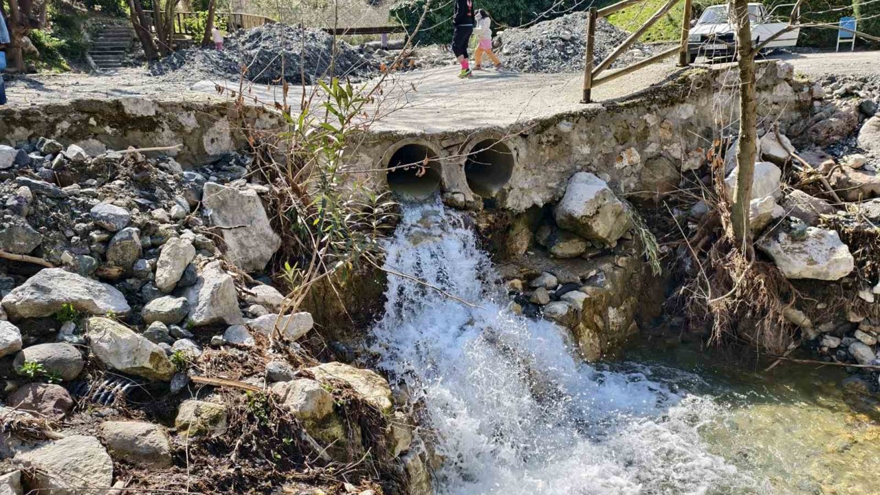 Mesir Tabiat Parkı’na ziyaretçi akını

