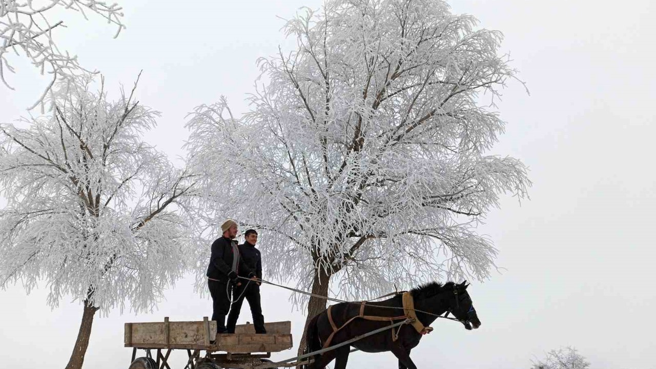 Türkiye’de en düşük sıcaklık eksi 20 dereceyle Bayburt’ta ölçüldü
