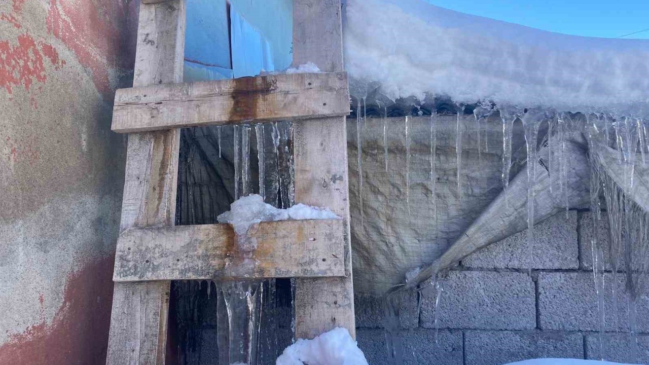 Patnos’ta kar yağışının ardından don etkili oldu
