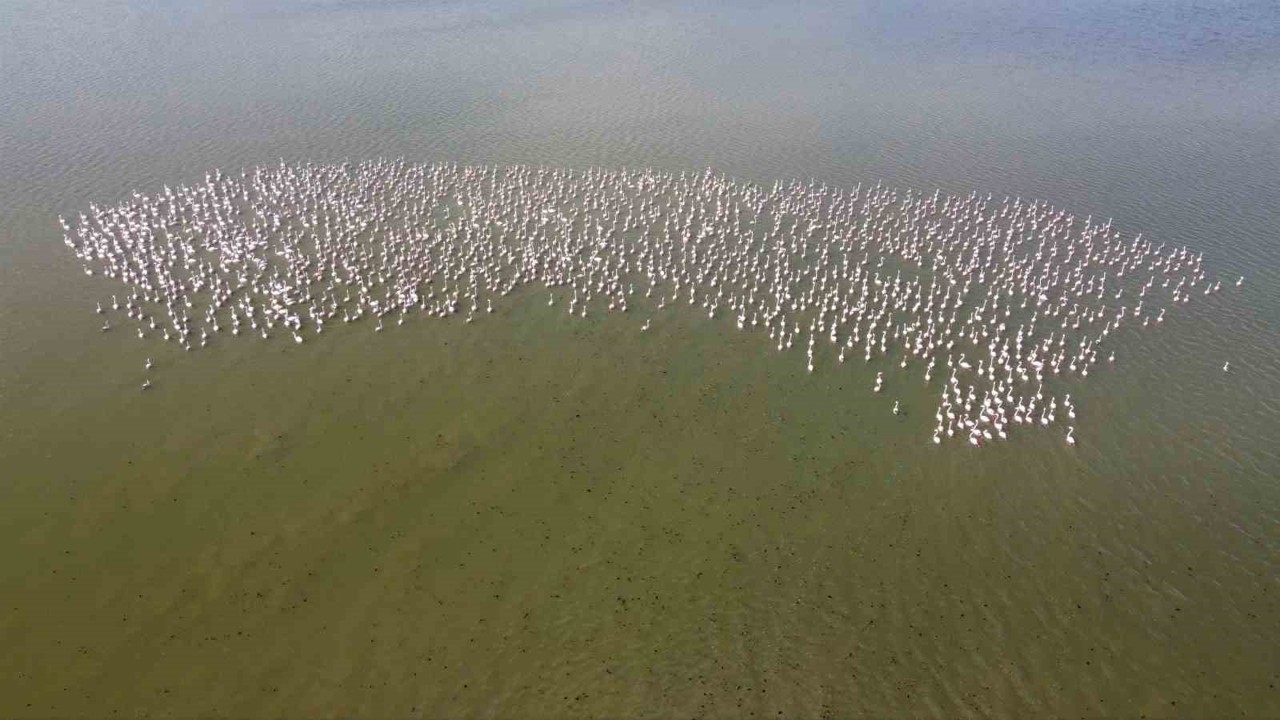Baharın habercisi allı turnalar Yozgat’ta görüntülendi

