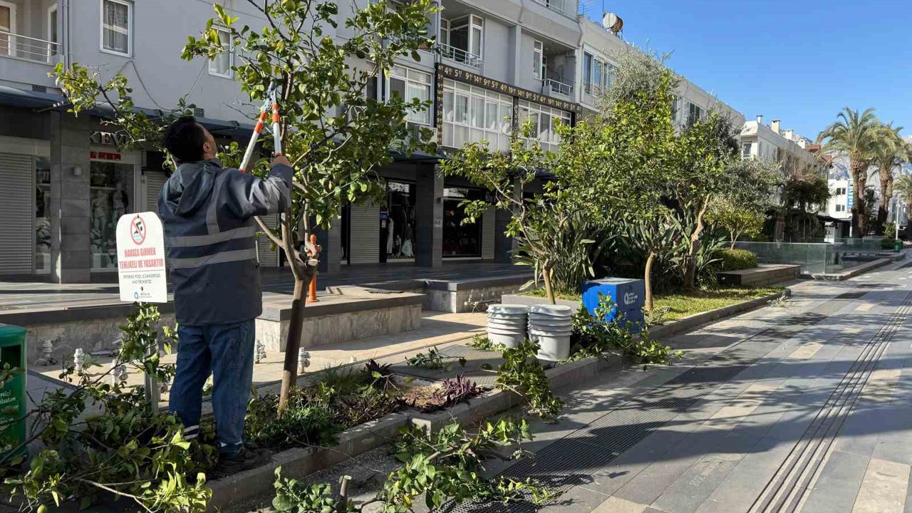 Büyükşehir’den Kemer’de peyzaj düzenlenesi
