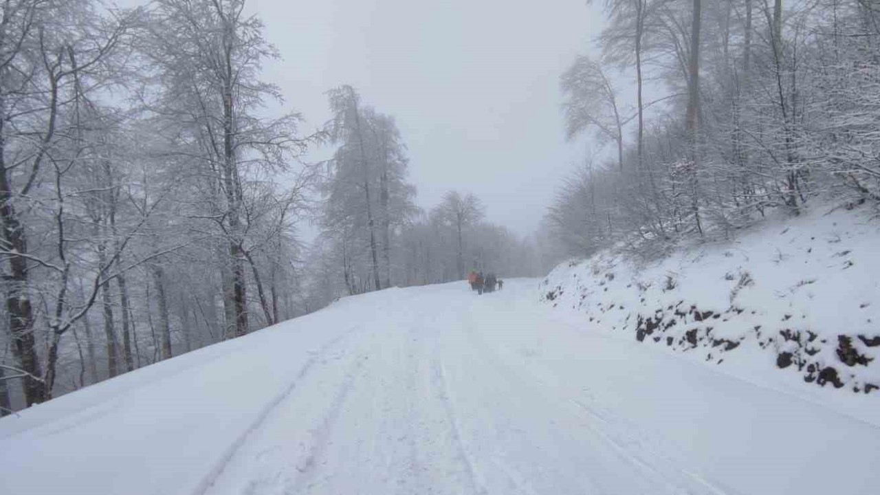 Zirvede kar eğlencesi: Bidonlarla kaydılar, traktörle kızak çektirdiler
