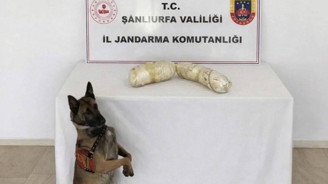 Şanlıurfa’da 2 kilogram uyuşturucu ele geçirildi: 2 gözaltı
