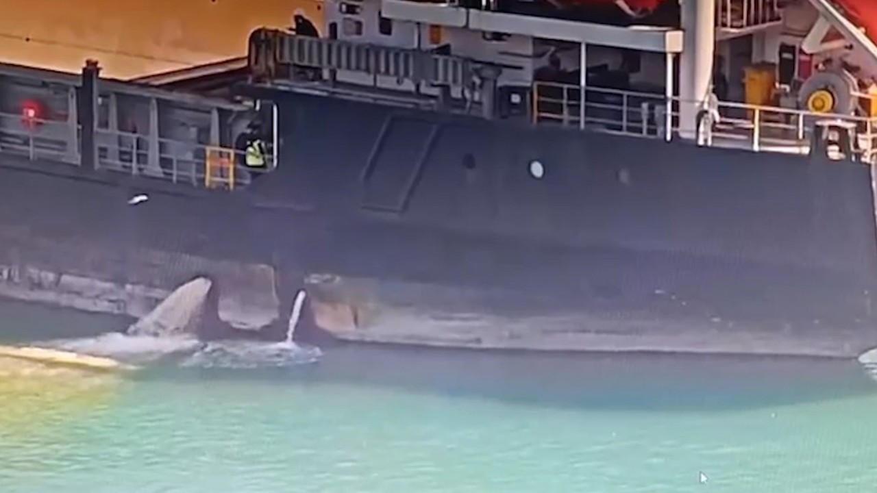 Mersin’de denizi kirleten gemiye 13 milyon TL ceza kesildi, gemi rıhtıma bağlandı
