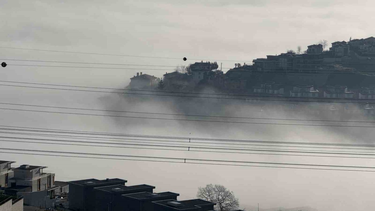 Sakarya güne sisle uyandı, görüş mesafesi 10 metreye kadar düştü
