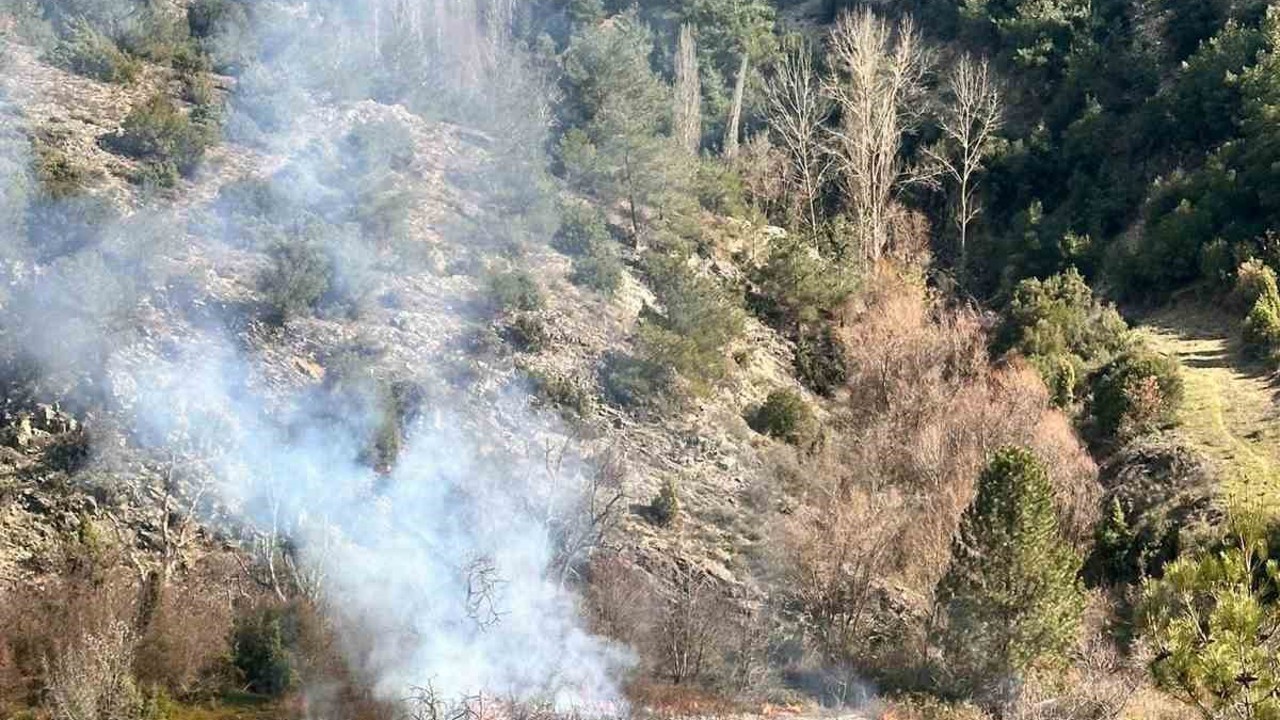 Arazisinde otları temizlik amaçlı yaktı, vatandaş orman yangını ihbarında bulundu

