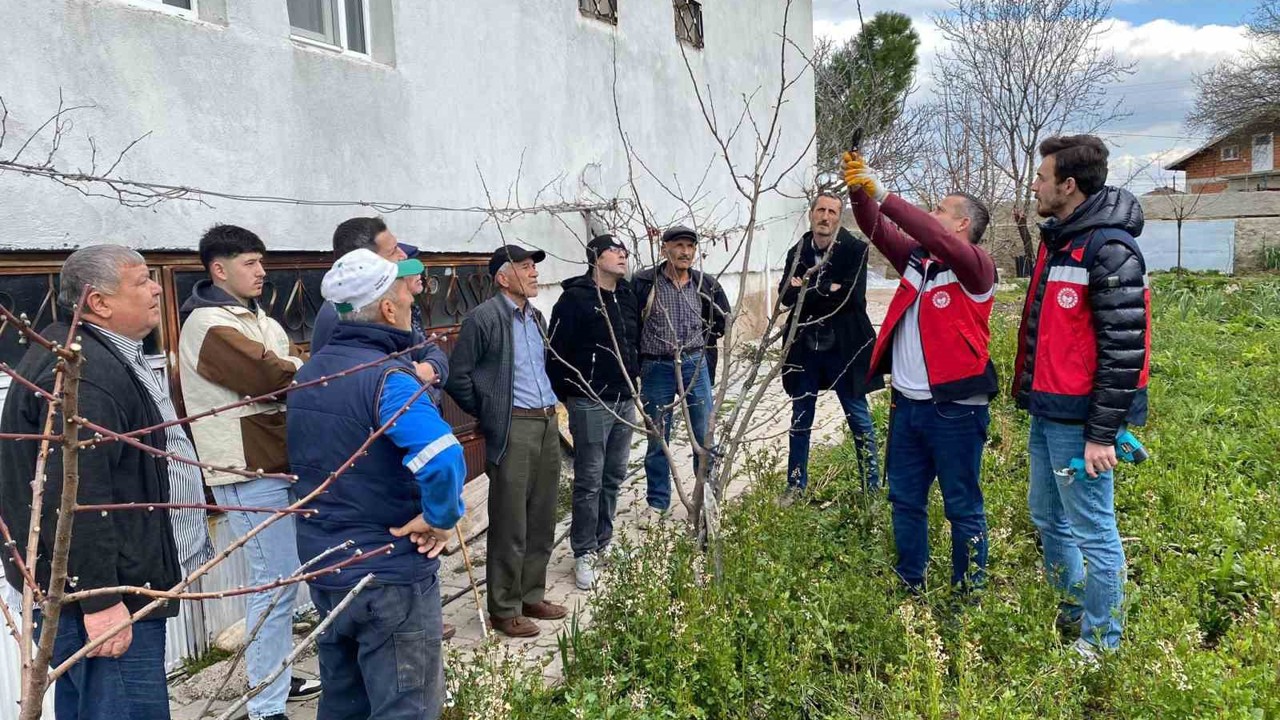 Tavşanlı’da meyve üreticilerine budama eğitimi
